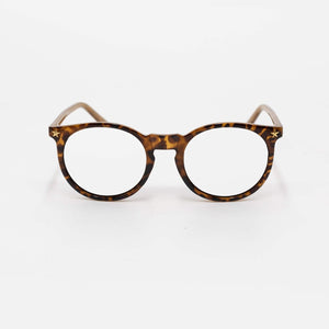 Stella Gemma Readers Star Tort SGEYE