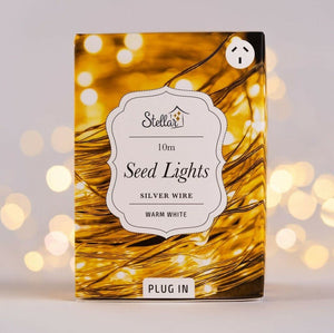 Plug Silver Seed Lights