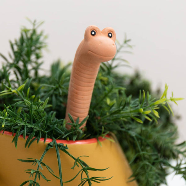 Terracotta Willy Worm Water Sensor