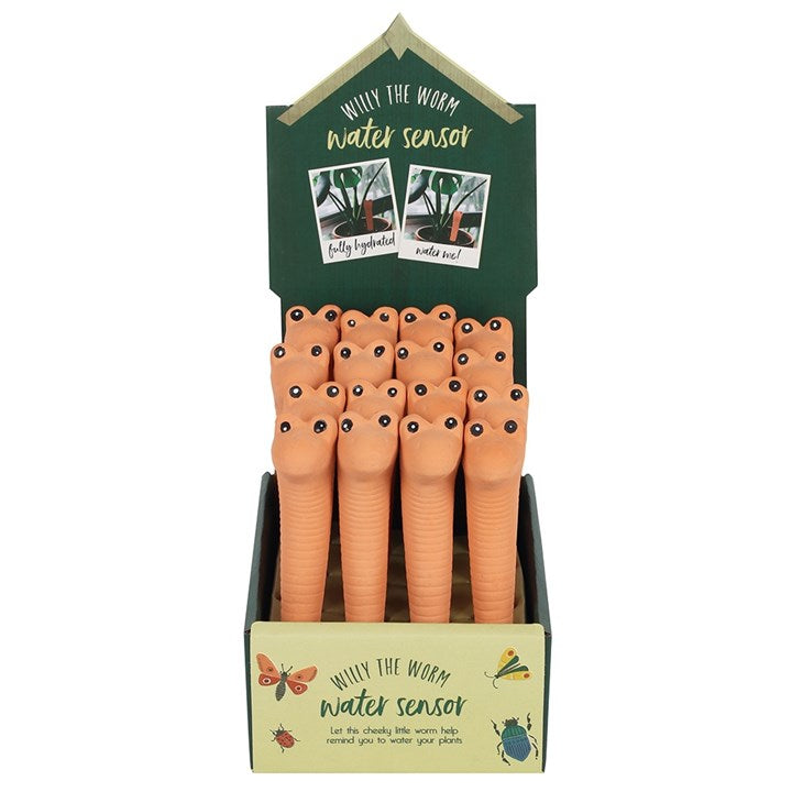 Terracotta Willy Worm Water Sensor